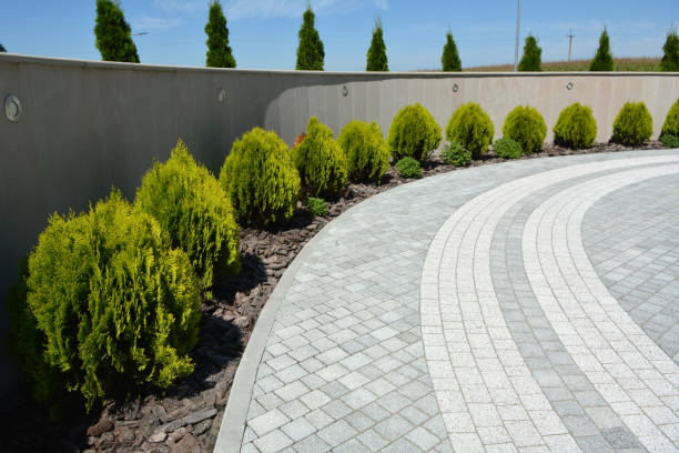 Best Concrete Paver Driveway  in Manana, HI